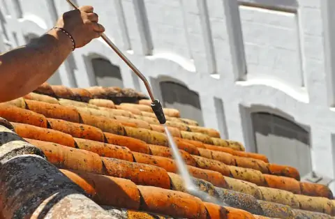 Nettoyage de toitures - Curtafond